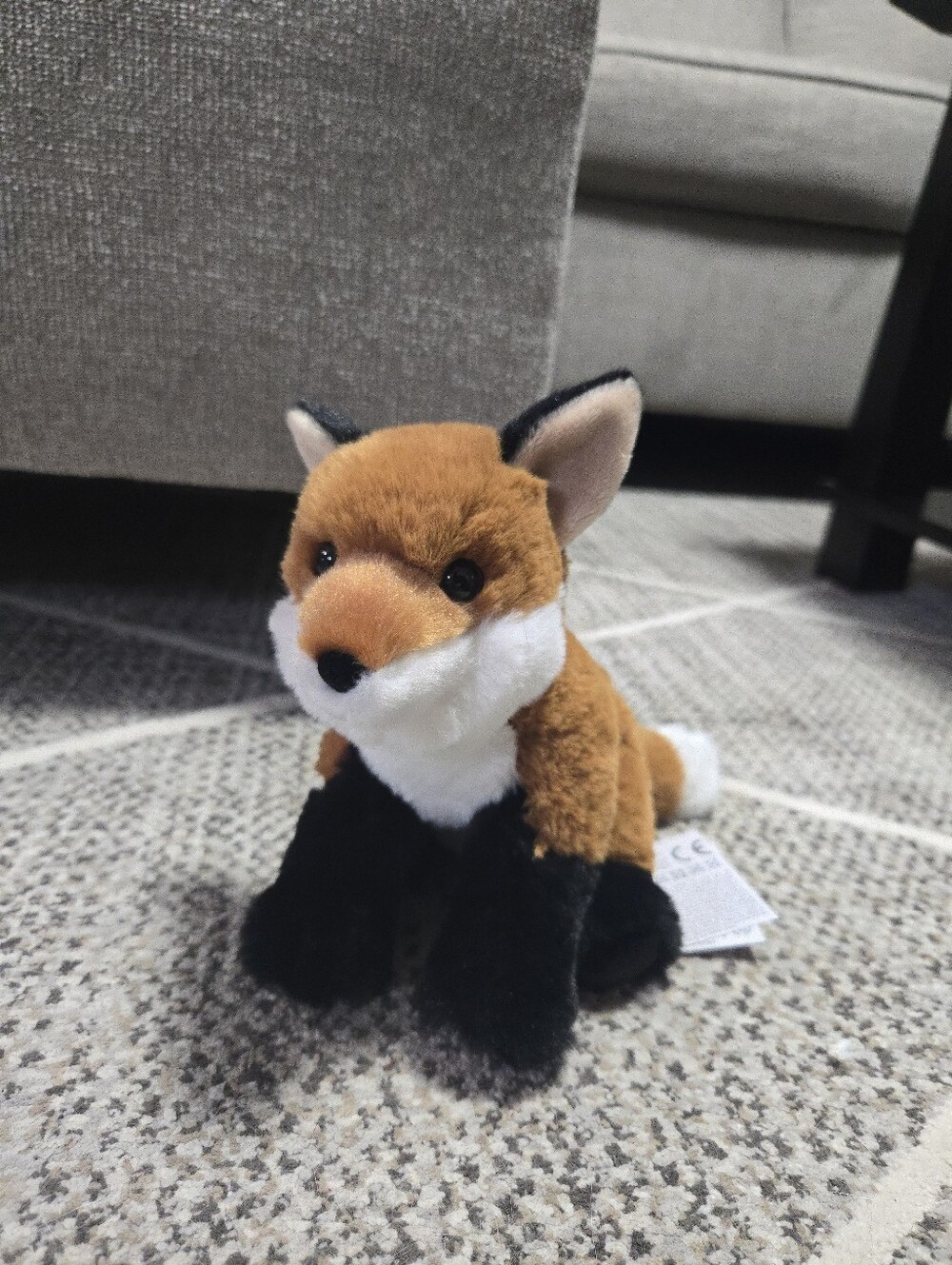 Douglas Softy Red Fox